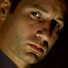 Mulder