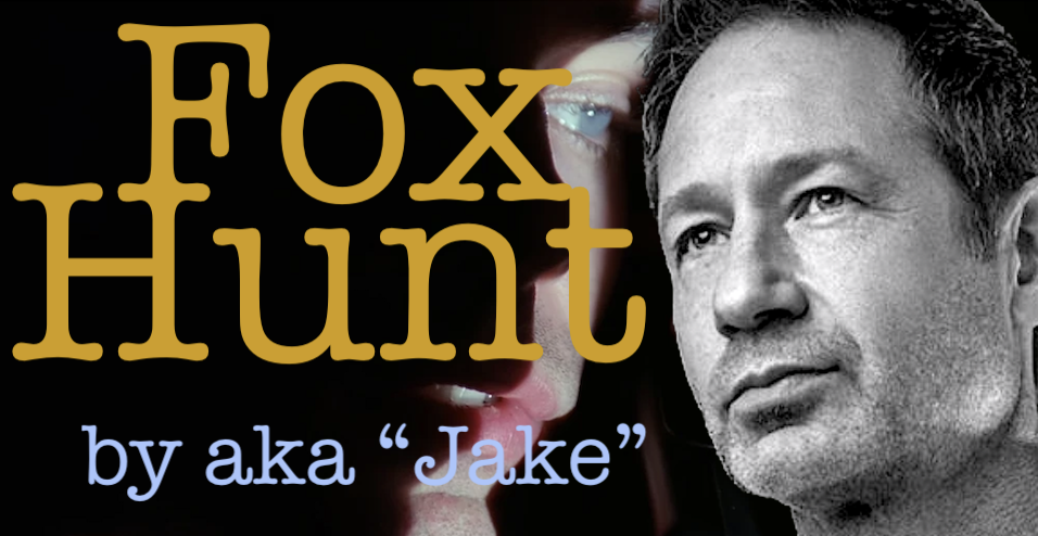 Fox Hunt by aka Jake