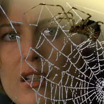 The spider on the log above her reacted to her outburst by extending one cautious leg into the air as if testing the invisible current of her impatience.